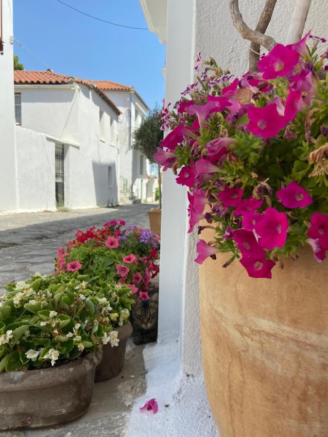 Raphael Skiathos Living-Venetia Dış mekan fotoğraf